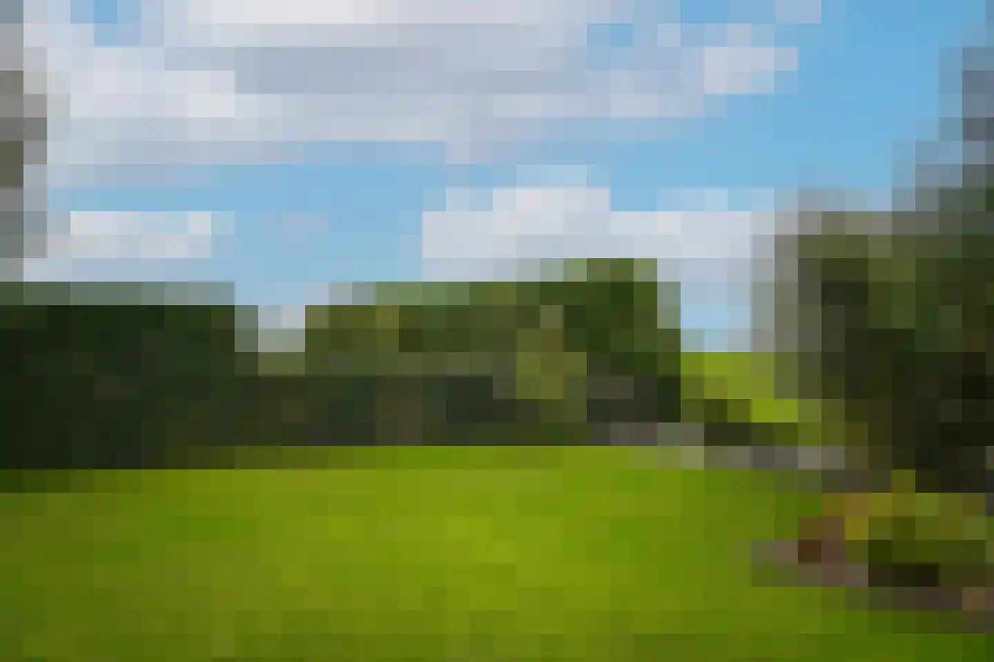Dorp 94 B Polsbroek thumbnail 10