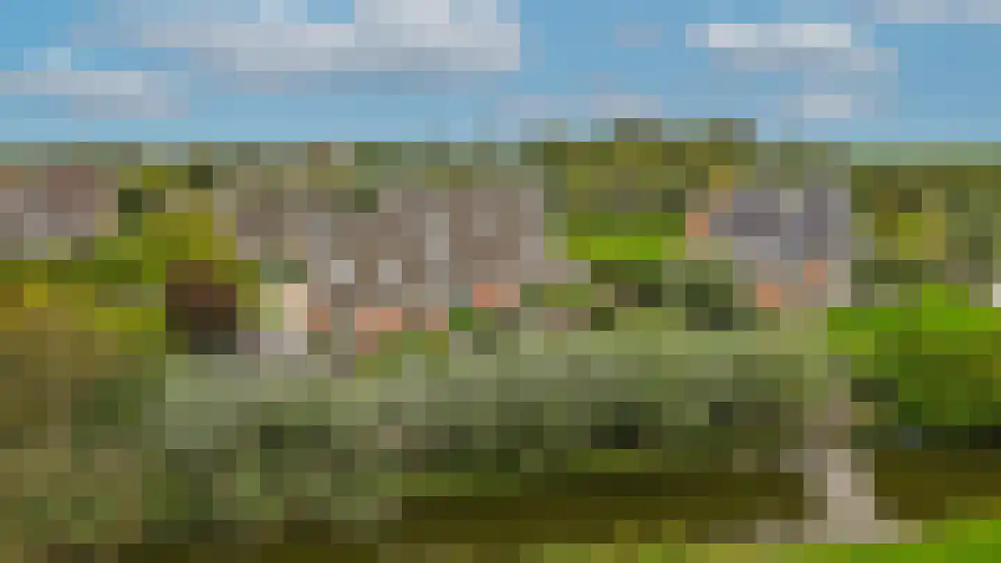 Dorp 94 B Polsbroek thumbnail 4