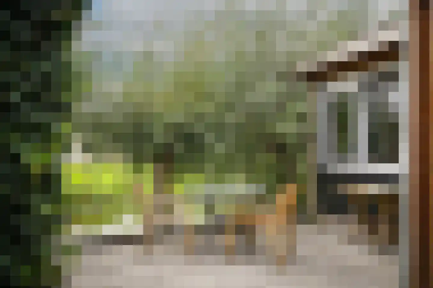 Dorp 94 B Polsbroek thumbnail 41