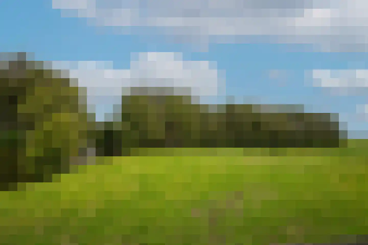 Dorp 94 B Polsbroek thumbnail 45