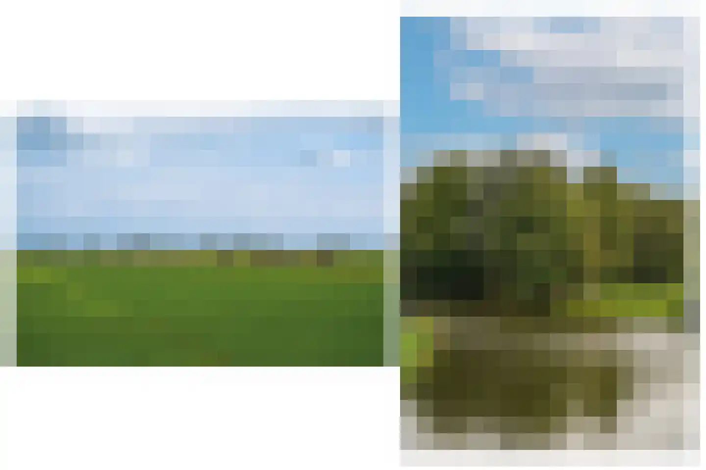 Dorp 94 B Polsbroek thumbnail 47