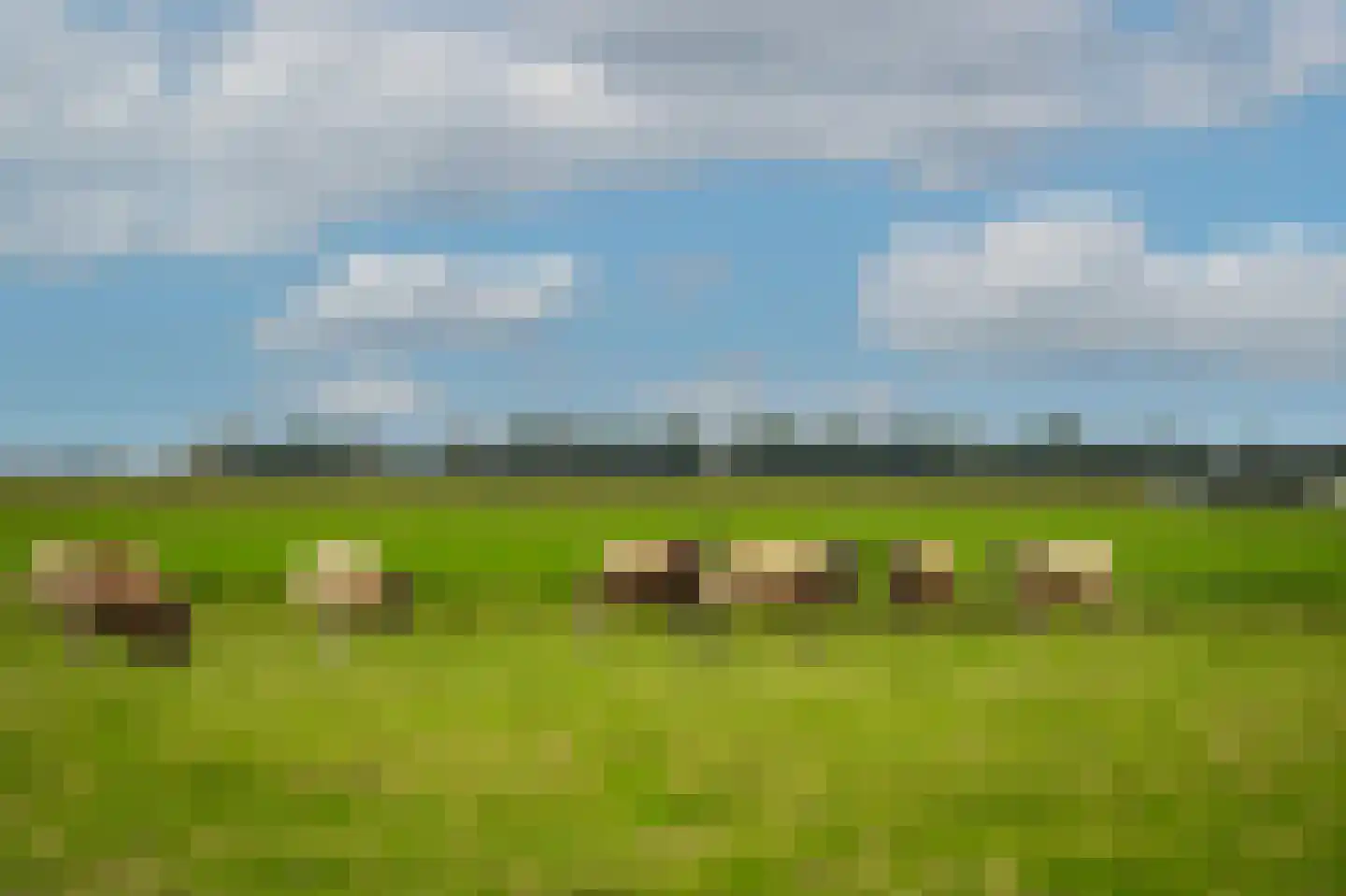 Dorp 94 B Polsbroek thumbnail 9
