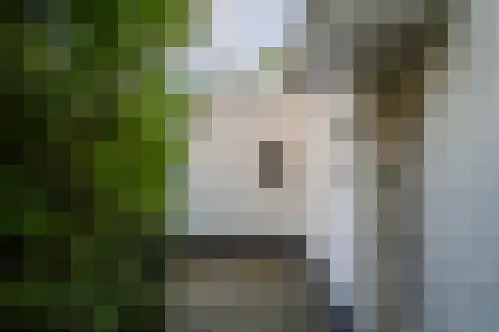 Dorpbroekstraat 33 Meerlo thumbnail 43