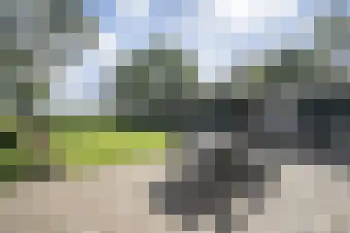 Dorpbroekstraat 33 Meerlo thumbnail 47