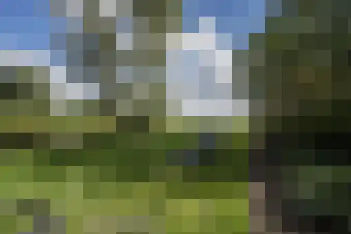 Dorpbroekstraat 33 Meerlo thumbnail 50