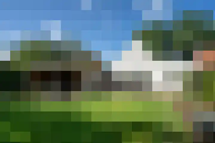 Dorpbroekstraat 33 Meerlo thumbnail 51