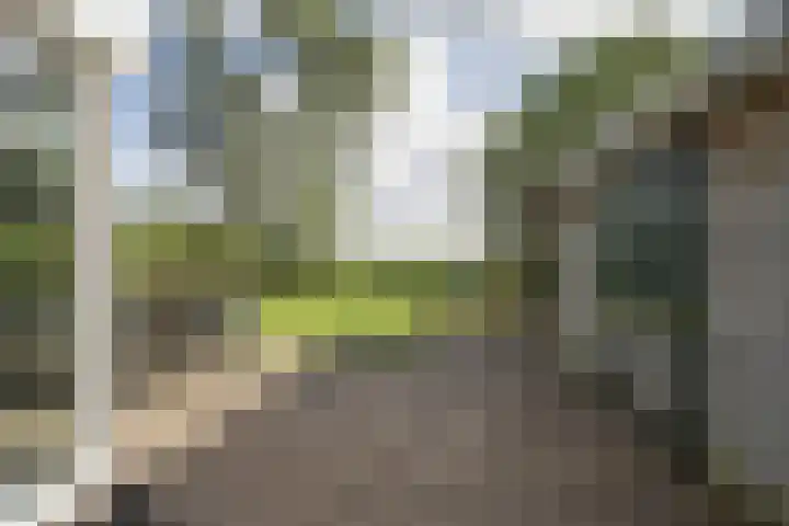 Dorpbroekstraat 33 Meerlo thumbnail 53