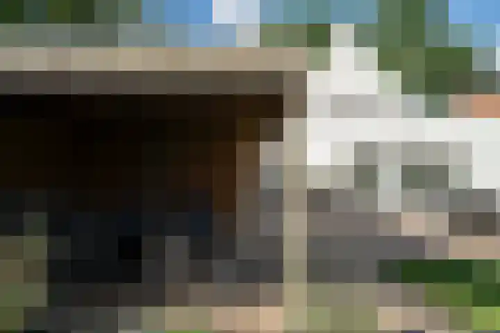 Dorpbroekstraat 33 Meerlo thumbnail 55
