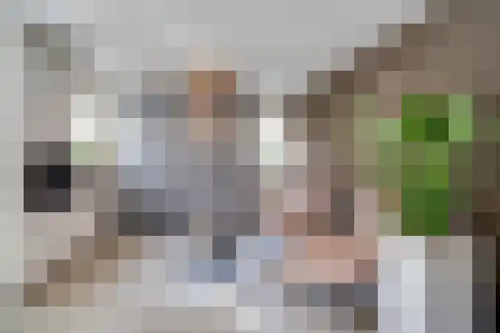 Dorpbroekstraat 33 Meerlo thumbnail 8