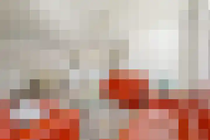 Dorpen 11 D Schagen thumbnail 10