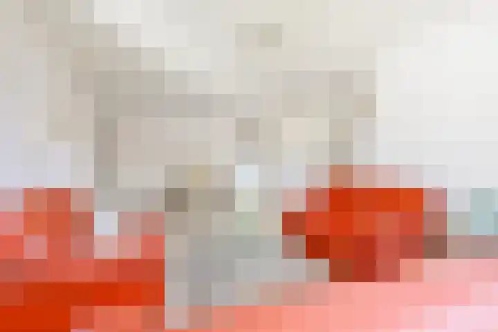 Dorpen 11 D Schagen thumbnail 11