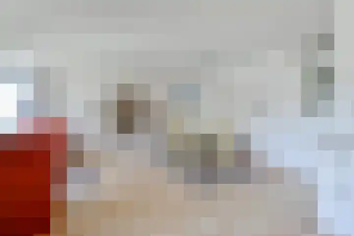 Dorpen 11 D Schagen thumbnail 16