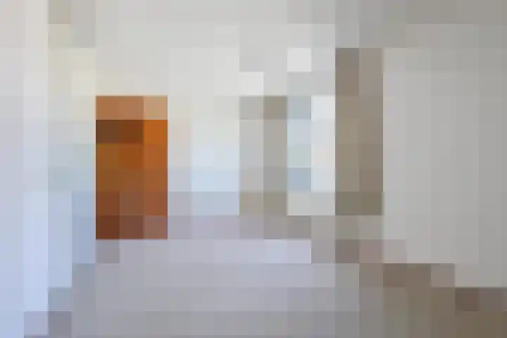 Dorpen 11 D Schagen thumbnail 20