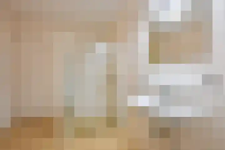 Dorpen 11 D Schagen thumbnail 22