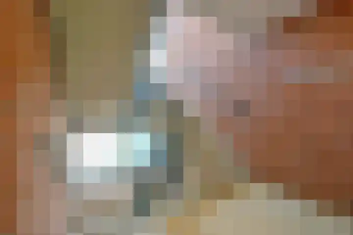 Dorpen 11 D Schagen thumbnail 27