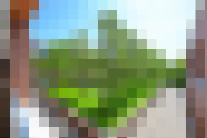 Dorpen 11 D Schagen thumbnail 29
