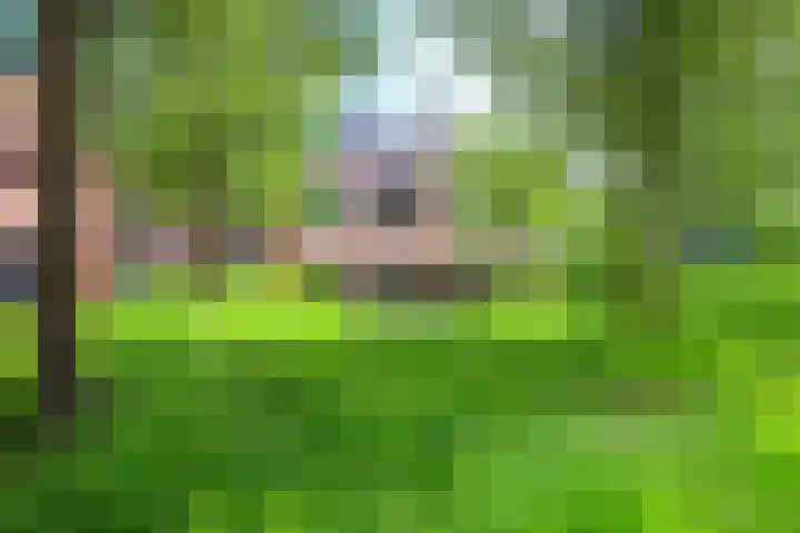 Dorpen 11 D Schagen thumbnail 30