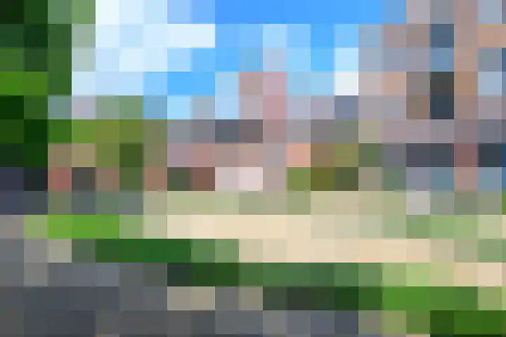 Dorpen 11 D Schagen thumbnail 31