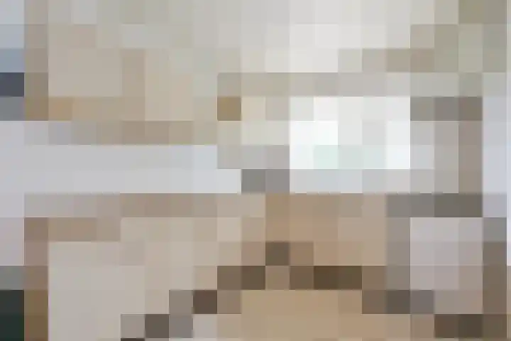 Dorpen 39 Schagen thumbnail 12