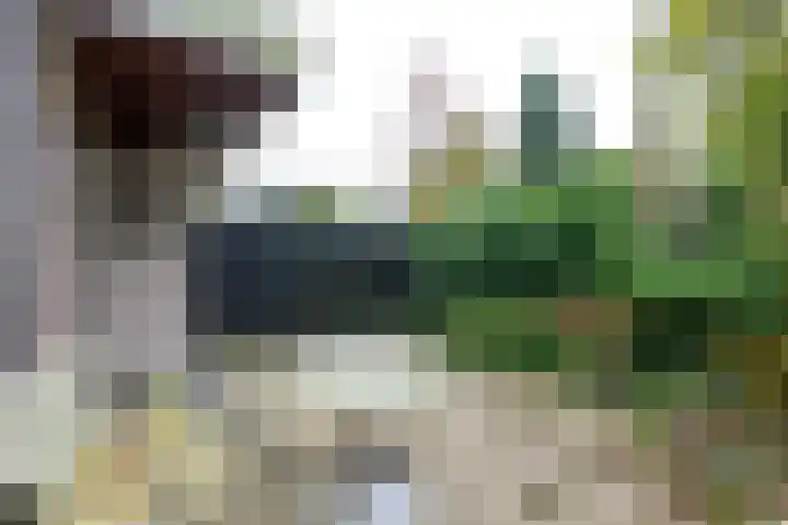 Dorpen 39 Schagen thumbnail 14
