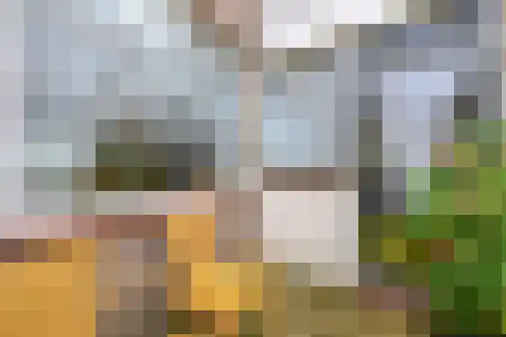 Dorpen 39 Schagen thumbnail 17