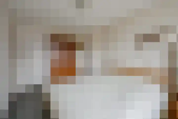 Dorpen 39 Schagen thumbnail 23