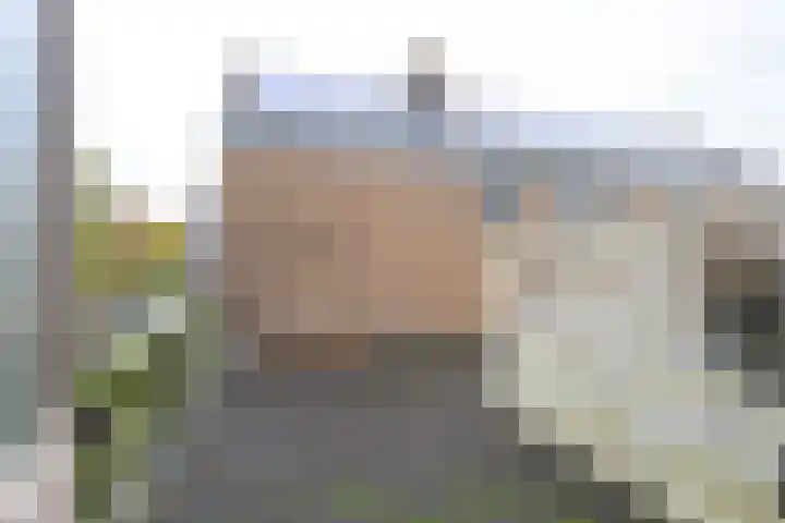 Dorpen 39 Schagen thumbnail 30