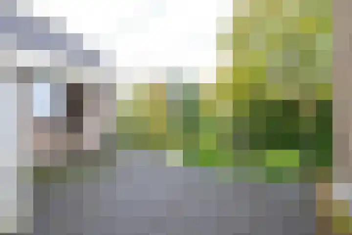 Dorpen 39 Schagen thumbnail 31