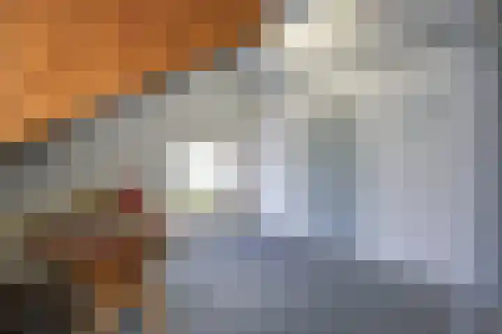 Dorpen 39 Schagen thumbnail 37