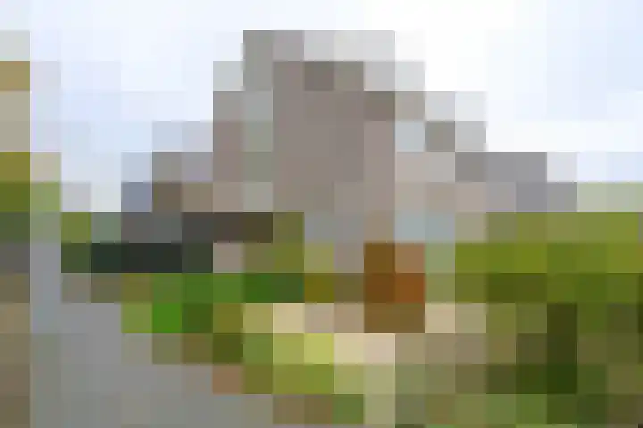 Dorpen 39 Schagen thumbnail 40