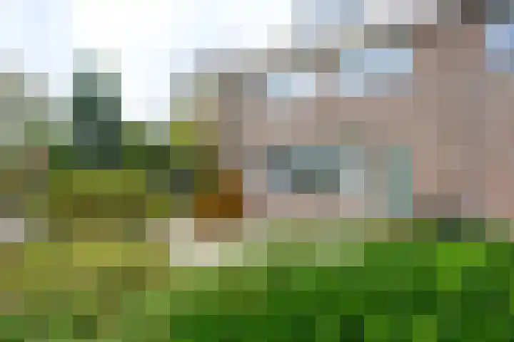Dorpen 39 Schagen thumbnail 41