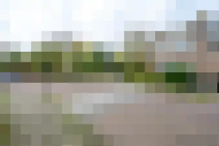 Dorpen 39 Schagen thumbnail 42