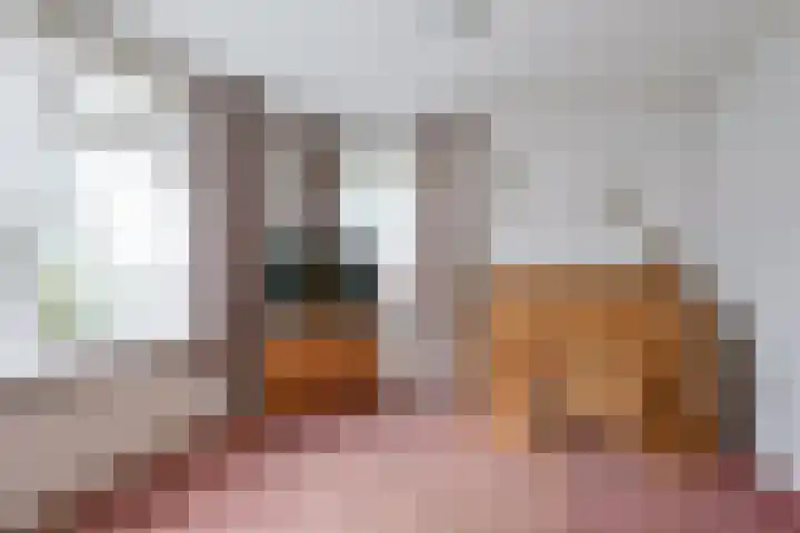 Dorpen 39 Schagen thumbnail 8