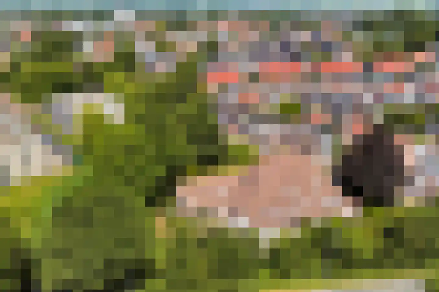 Dorpen 46 Schagen thumbnail 26