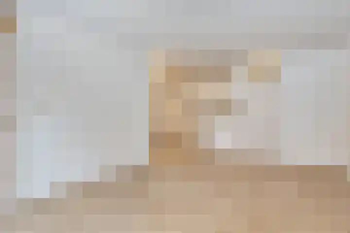 Dorpen 54 Schagen thumbnail 10