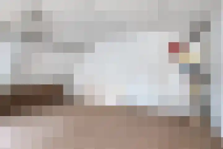 Dorpen 54 Schagen thumbnail 21