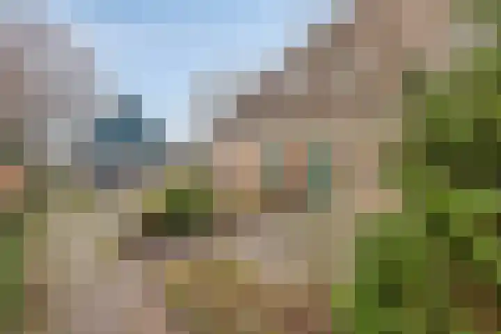 Dorpen 54 Schagen thumbnail 6