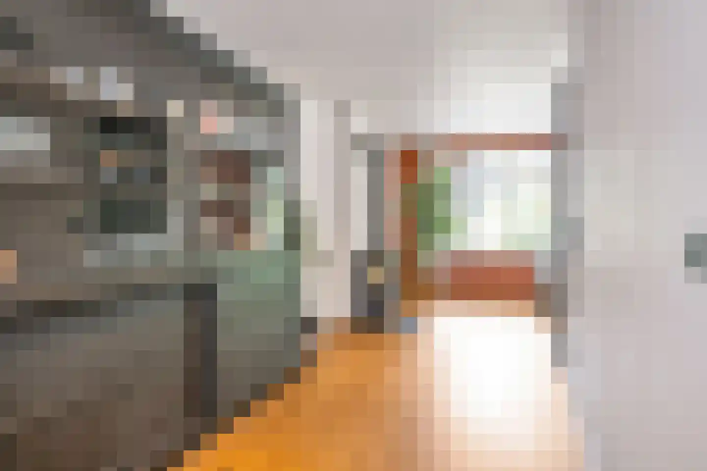 Dorpen 61 Schagen thumbnail 11