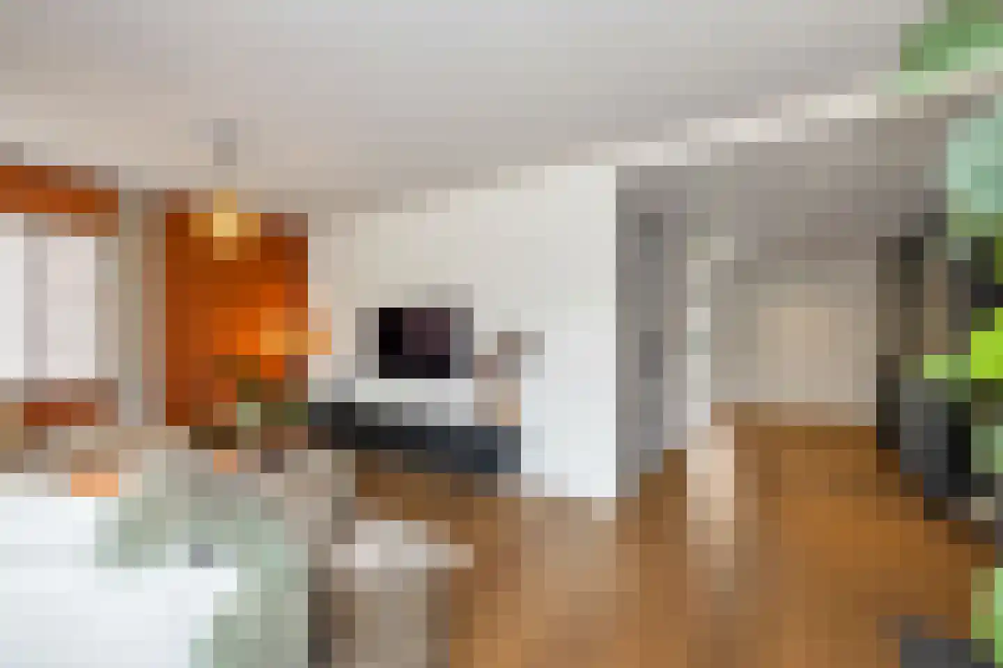 Dorpen 61 Schagen thumbnail 12