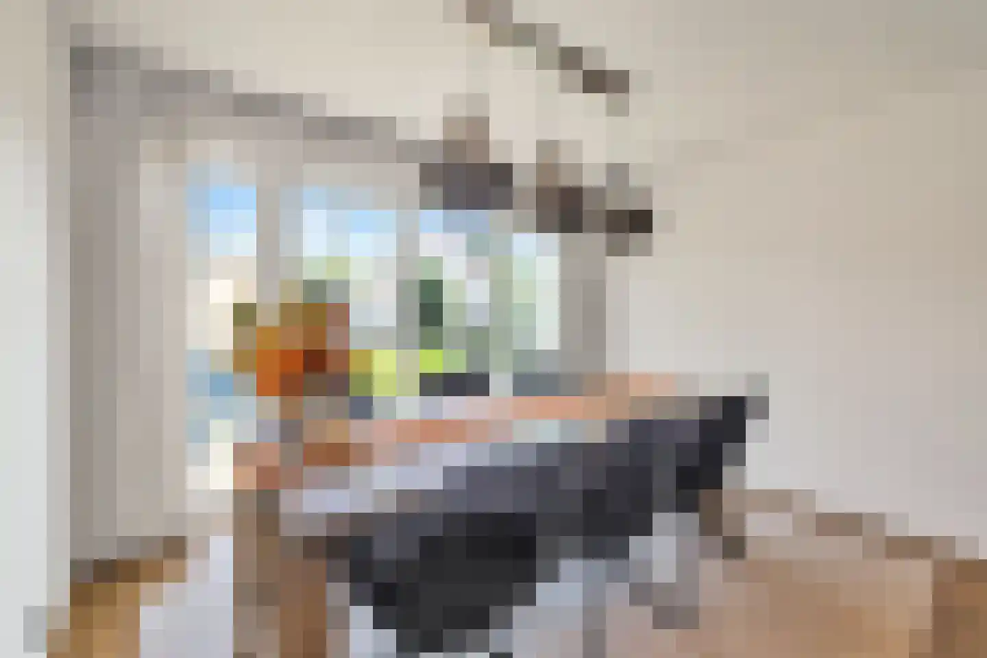 Dorpen 61 Schagen thumbnail 17