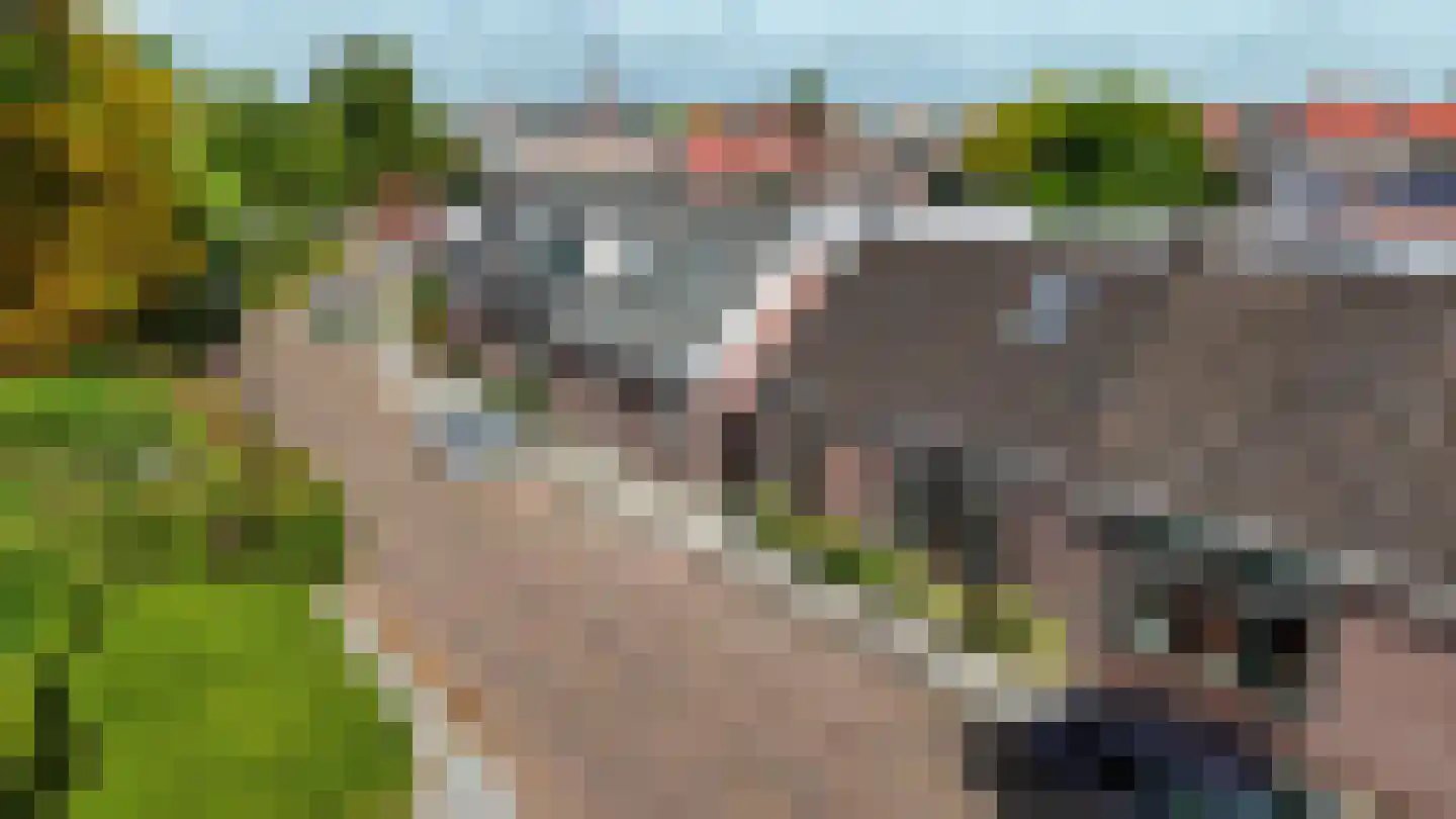 Dorpen 61 Schagen thumbnail 7