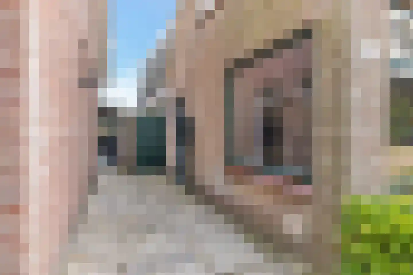 Dorpen 61 Schagen thumbnail 8