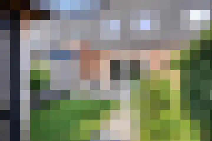 Dörper Tore 24 Helden thumbnail 29