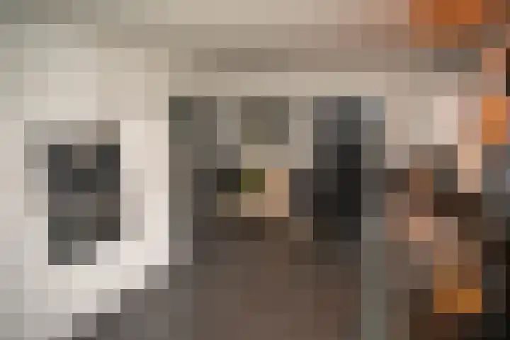 Dorperesch 2 Wierden thumbnail 20