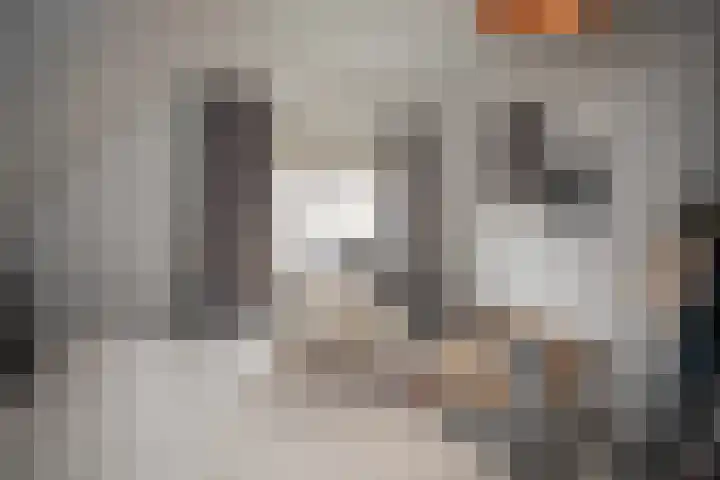 Dorperesch 2 Wierden thumbnail 46