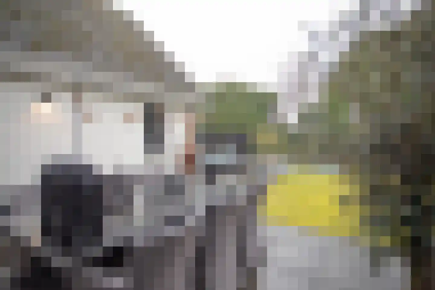Dorperesch 2 Wierden thumbnail 54