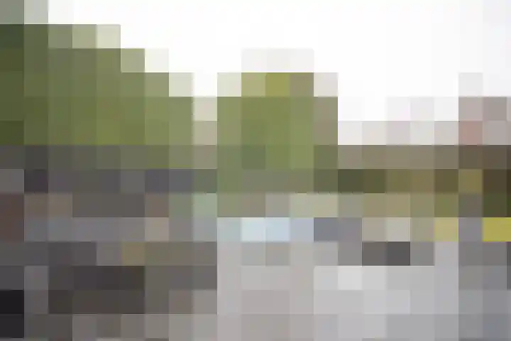 Dorperesch 2 Wierden thumbnail 61