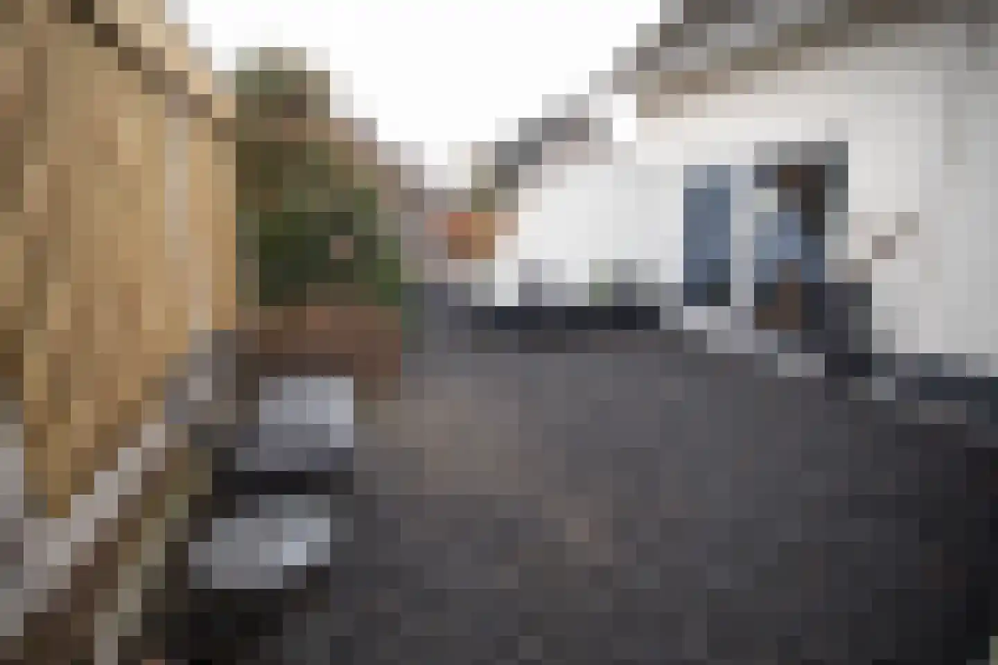 Dorperesch 2 Wierden thumbnail 64