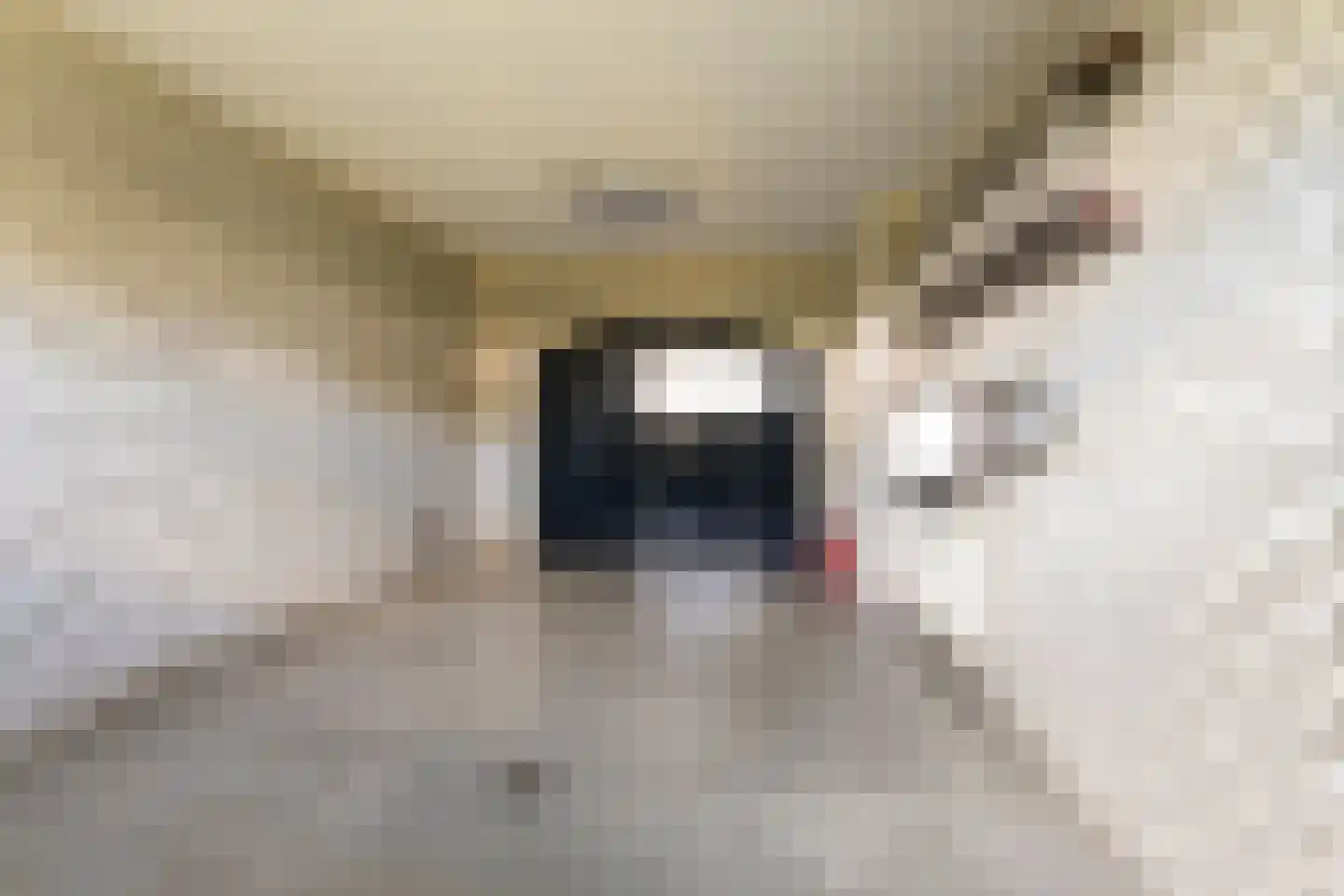 Dorpergaarden 2 Losser thumbnail 19
