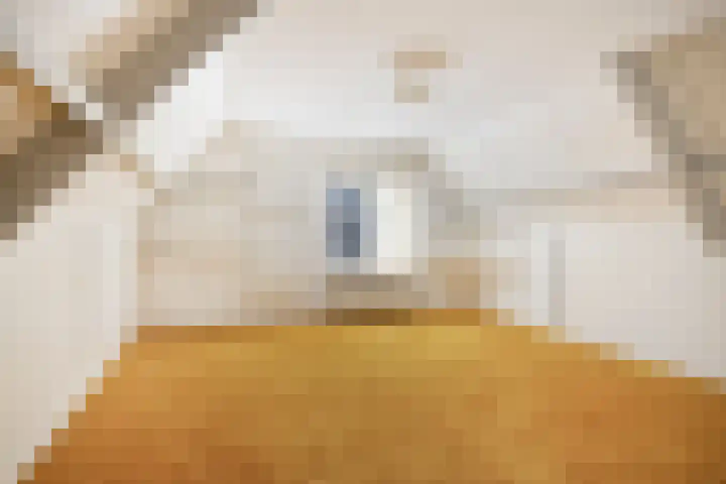 Dorpergaarden 2 Losser thumbnail 26